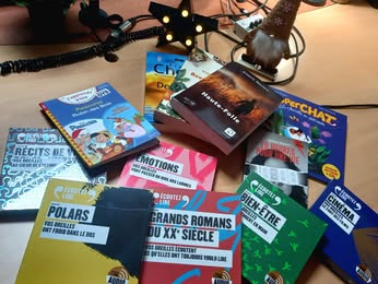 LIVRE HANDICAP.jpg (27 KB)