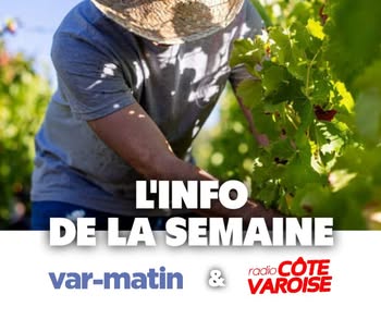 PIC INFO SEMAINE 40.jpg (21 KB)