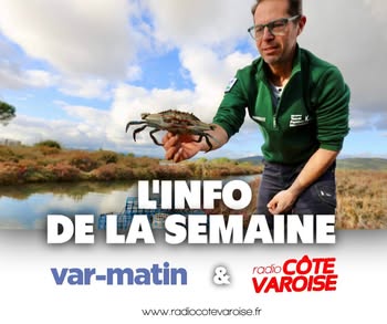 PIC INFO SEMAINE 51.jpg (20 KB)